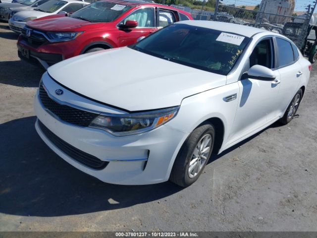 5XXGT4L34JG223063 KIA Optima Lx