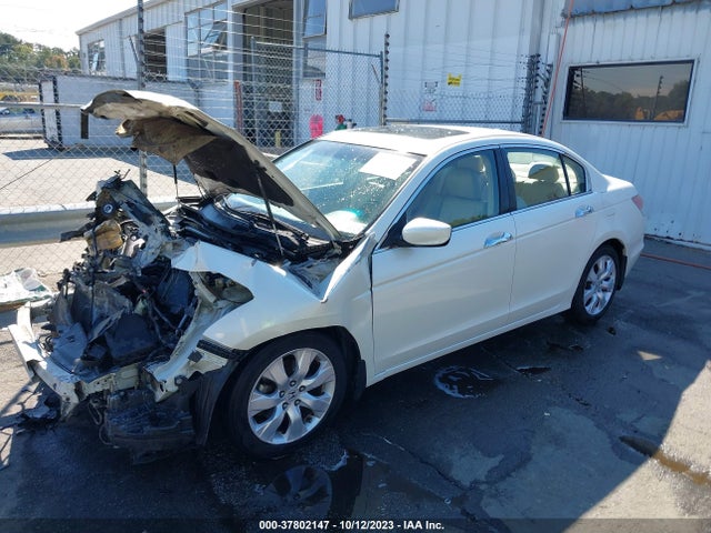 2008 HONDA ACCORD SDN EX-L VIN: 1HGCP36828A047447