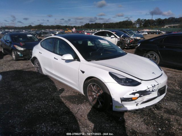 2021 TESLA MODEL 3 5YJ3E1EB6MF979304 Photo 5