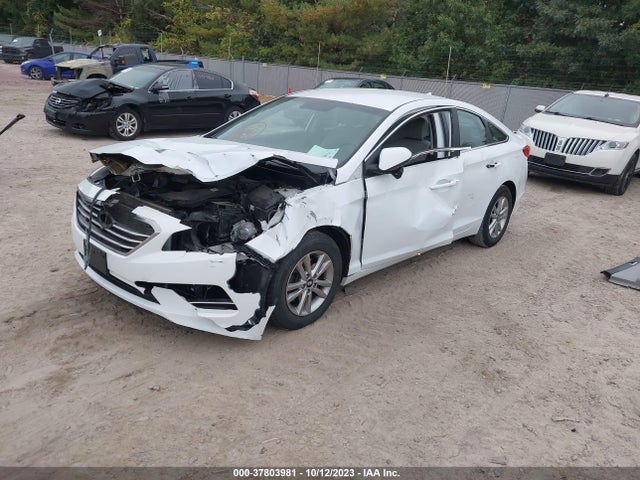 Hyundai Sonata 2.4l 2017 5NPE24AF7HH496097 Image 2