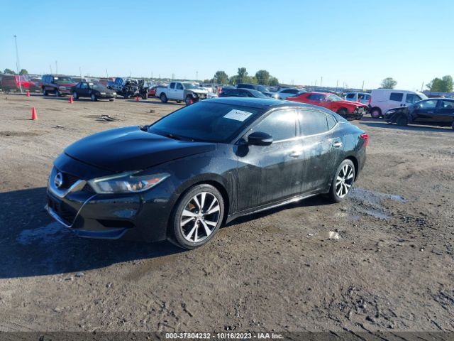 1N4AA6AP1HC424271 Nissan MAXIMA SL