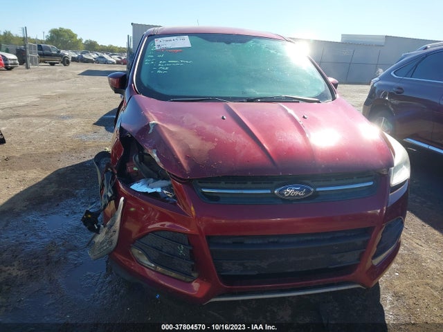 Ford ESCAPE SE 2014 1FMCU0GXXEUE11793 Image 12