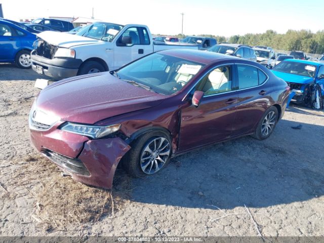19UUB1F57FA009884 Acura TLX TECH
