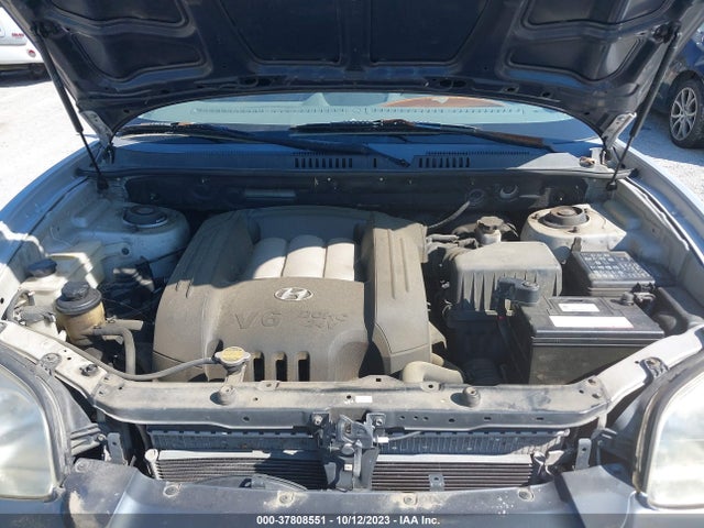 2004 HYUNDAI SANTA FE KM8SC73D94U848749 Photo 9