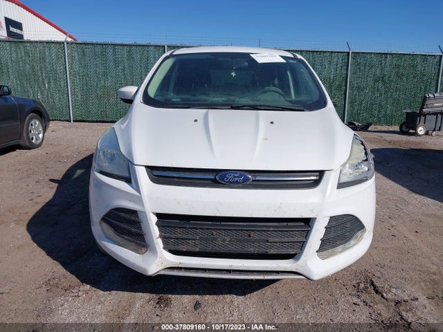 Ford ESCAPE SE 2014 1FMCU9G93EUA07238 Image 12