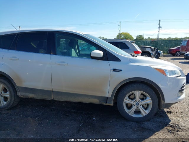 Ford ESCAPE SE 2014 1FMCU9G93EUA07238 Image 13