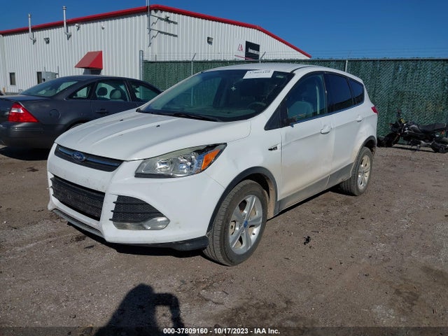 Ford ESCAPE SE 2014 1FMCU9G93EUA07238 Image 2
