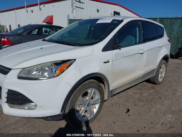 Ford ESCAPE SE 2014 1FMCU9G93EUA07238 Image 6