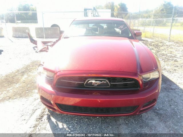 1ZVBP8AMXE5218927 Ford Mustang V6