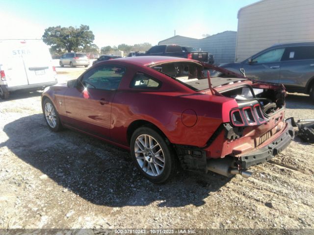1ZVBP8AMXE5218927 Ford Mustang V6