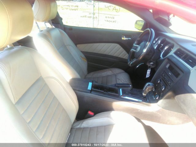 1ZVBP8AMXE5218927 Ford Mustang V6