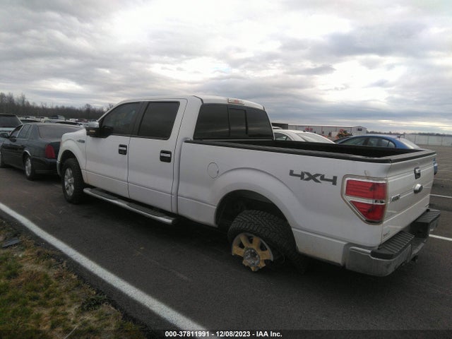 Ford F-150 Xlt 2014 1FTFW1EF1EKE32541 Image 3