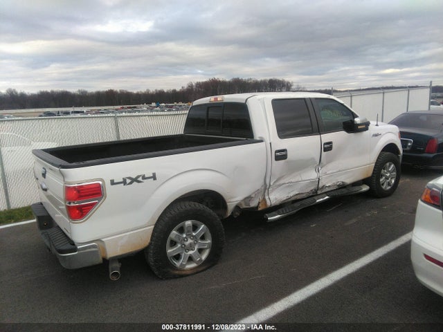 Ford F-150 Xlt 2014 1FTFW1EF1EKE32541 Image 4