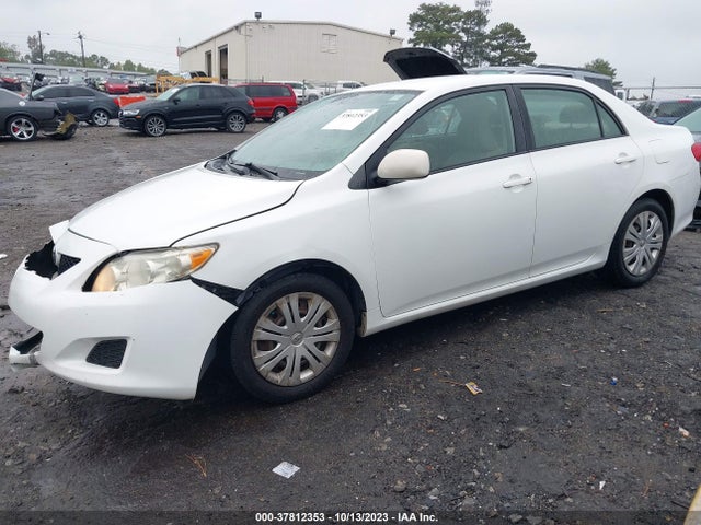 2009 TOYOTA COROLLA VIN: JTDBL40E299052192