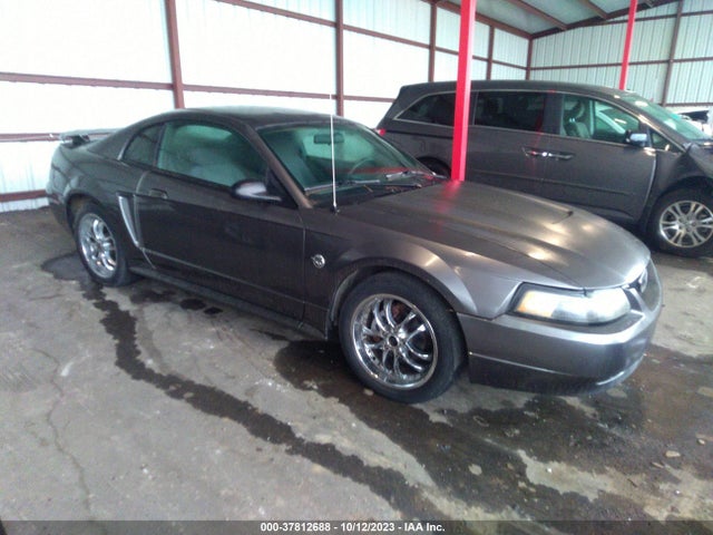 2004 FORD MUSTANG STANDARD/DELUXE/PREMIUM VIN: 1FAFP40424F117233