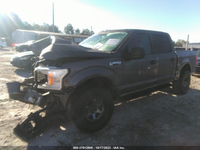 1FTEW1C5XJKC50241 Ford F-150 Xl