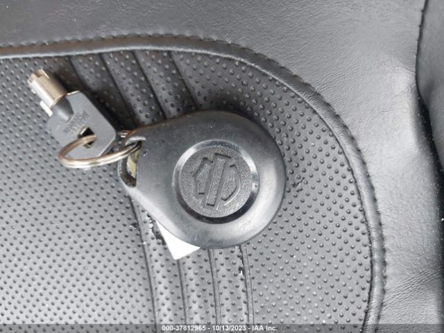 2015 HARLEY-DAVIDSON FLHXSE 1HD1PXN11FB955850 Photo 10