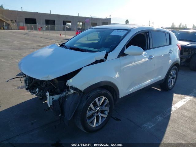 KNDPB3AC5F7678052 KIA Sportage Lx