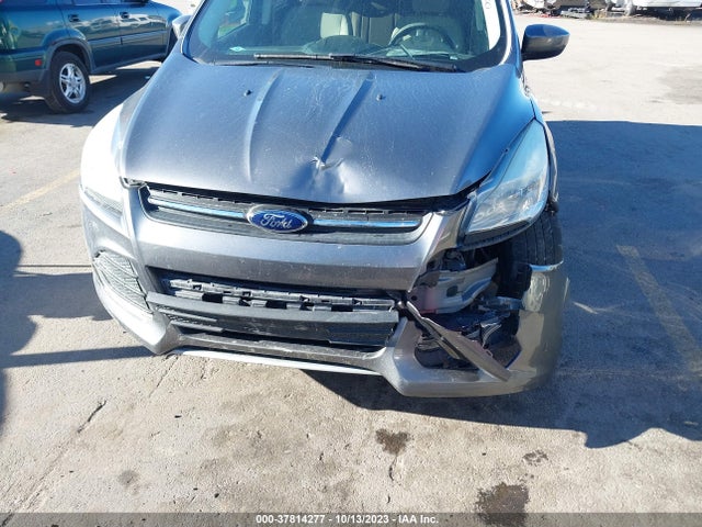 Ford ESCAPE SE 2014 1FMCU0GX2EUC60285 Image 6