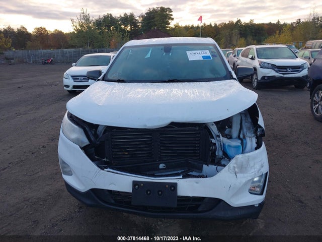 Chevrolet EQUINOX LS 2019 3GNAXSEV6KL152443 Image 12