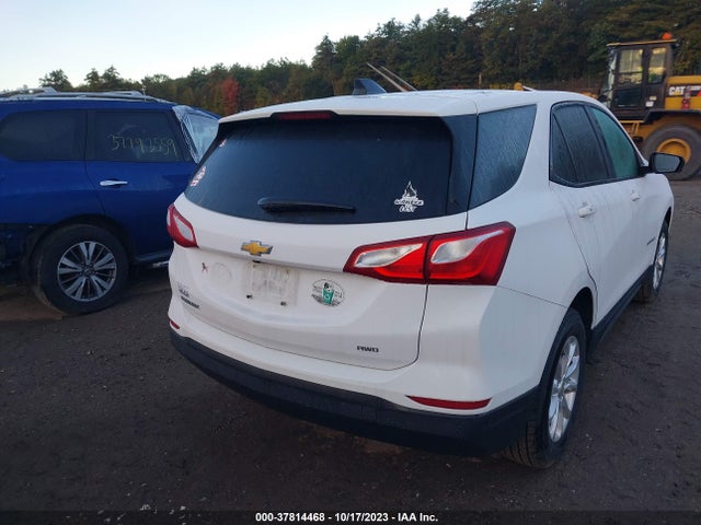 Chevrolet EQUINOX LS 2019 3GNAXSEV6KL152443 Image 16