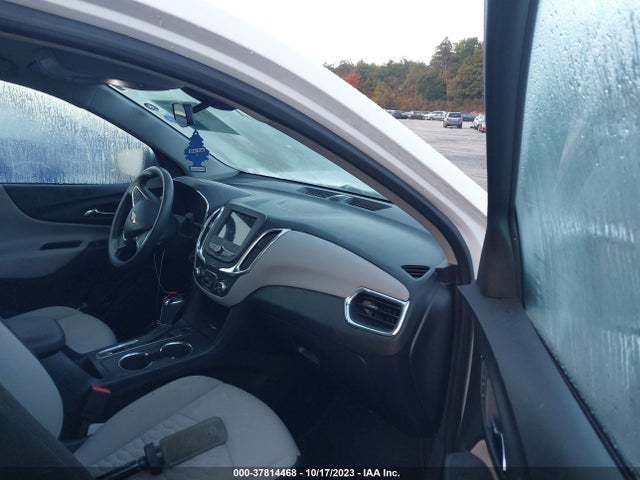 Chevrolet EQUINOX LS 2019 3GNAXSEV6KL152443 Image 5