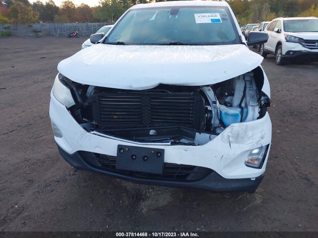Chevrolet EQUINOX LS 2019 3GNAXSEV6KL152443 Image 6
