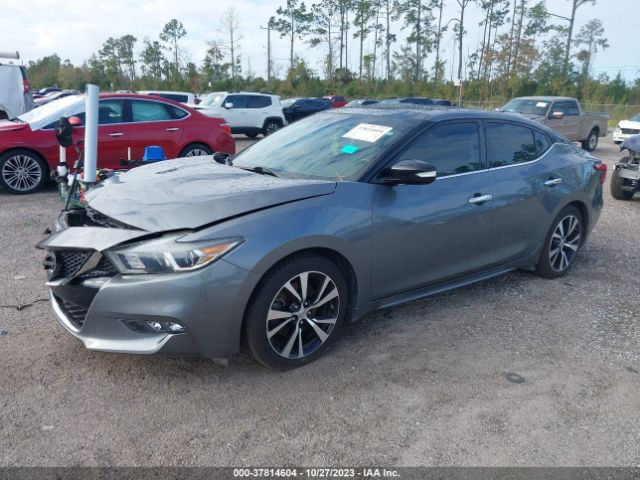 1N4AA6AP6HC449201 Nissan MAXIMA SL