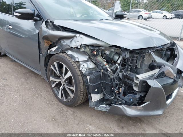 1N4AA6AP6HC449201 Nissan MAXIMA SL