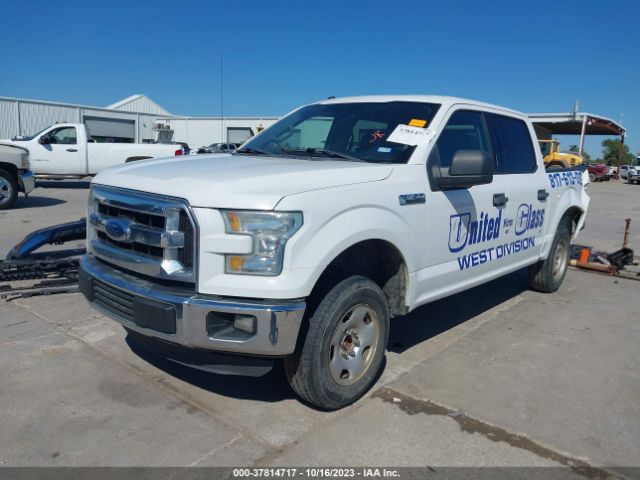 1FTEW1C84GFA16995 Ford F-150 Xlt/xl