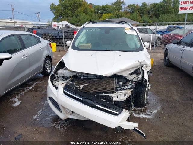 Ford Escape Titanium 2014 1FMCU9J92EUE36931 Image 11