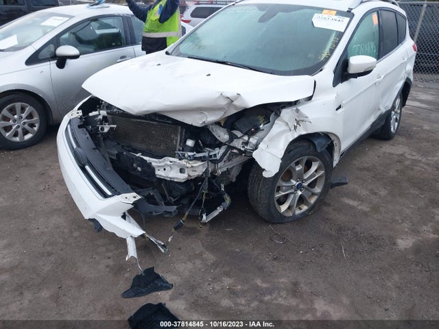 Ford Escape Titanium 2014 1FMCU9J92EUE36931 Image 6