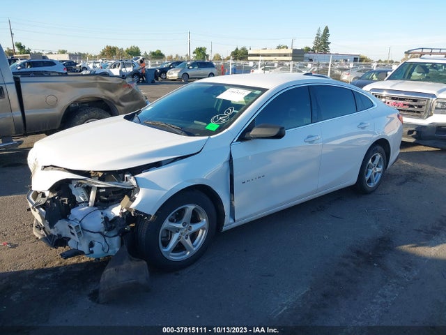 Chevrolet Malibu 1ls 2018 1G1ZB5ST5JF202491 Image 2