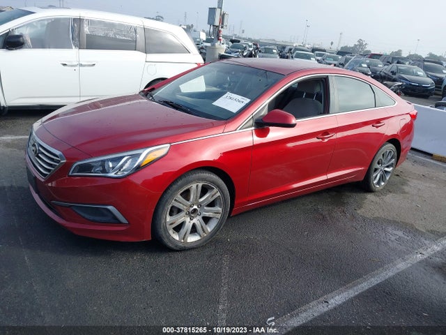 Hyundai Sonata 2.4l Se 2016 5NPE24AF6GH363801 Image 2