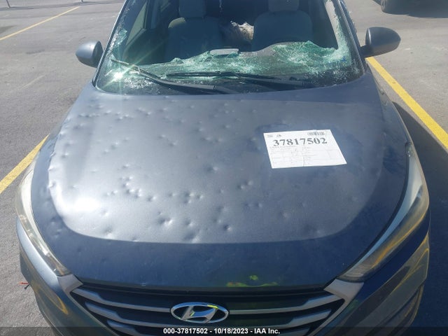 Hyundai TUCSON SE 2017 KM8J33A44HU332215 Image 6