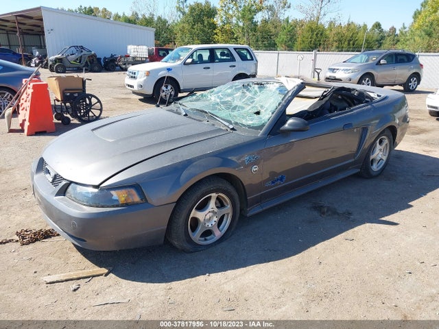 2004 FORD MUSTANG DELUXE/PREMIUM VIN: 1FAFP44654F200425