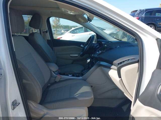 Ford ESCAPE SE 2016 1FMCU0G93GUA92256 Image 5