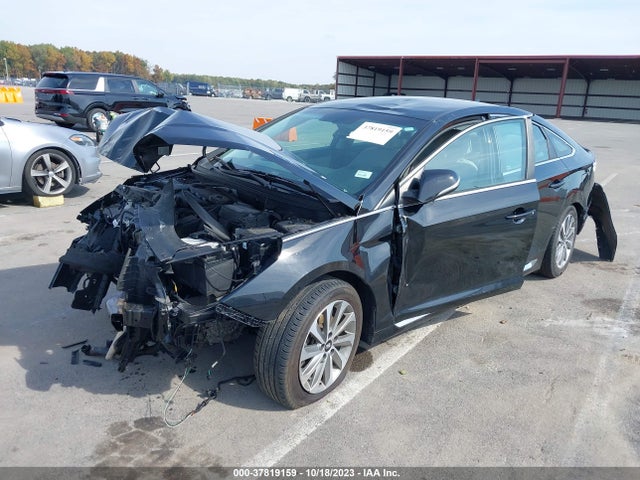 Hyundai Sonata Sport 2016 5NPE34AF0GH342830 Image 2