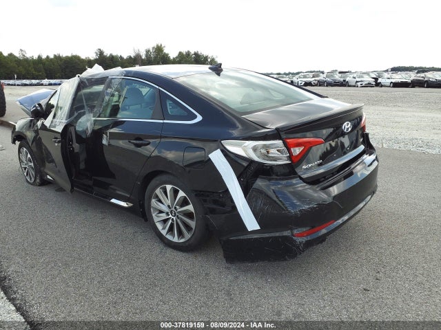 Hyundai Sonata Sport 2016 5NPE34AF0GH342830 Image 3