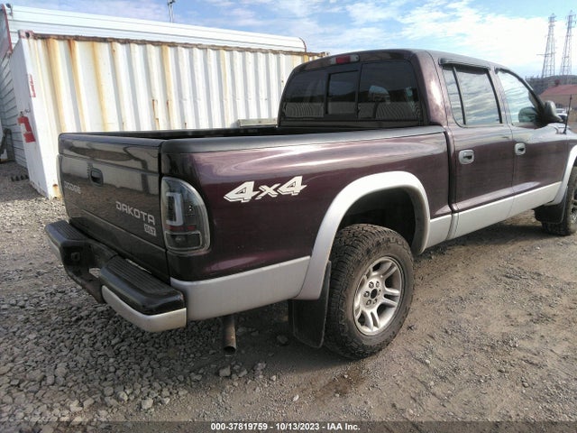 2004 DODGE DAKOTA SLT VIN: 1D7HG48N84S647199