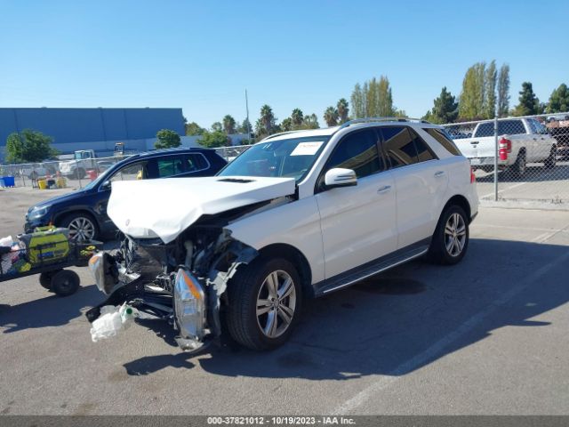 4JGDA5JB5FA575902 Mercedes-Benz M-class Ml 350