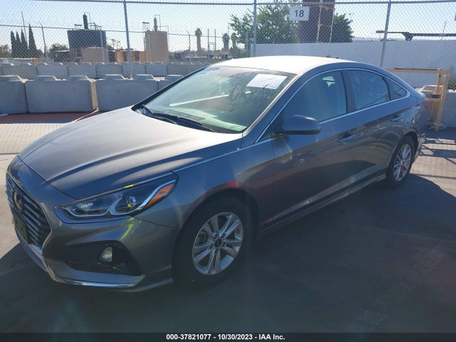 Hyundai SONATA SE 2019 5NPE24AF1KH763726 Image 2