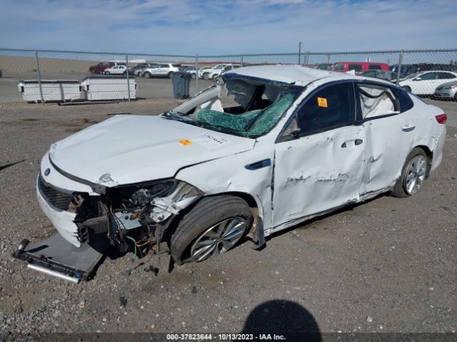 5XXGT4L35JG271252 KIA Optima Lx