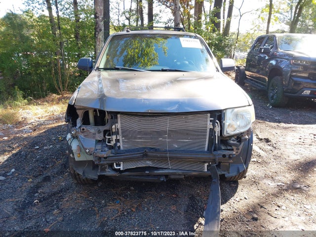 2011 FORD ESCAPE XLT VIN: 1FMCU0DGXBKA72609