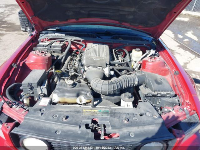 2008 FORD MUSTANG 1ZVHT82H385206534 Photo 9