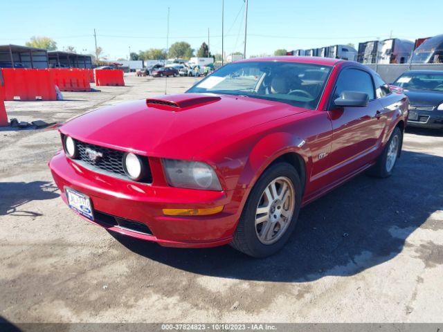 2008 FORD MUSTANG 1ZVHT82H385206534 Photo 1