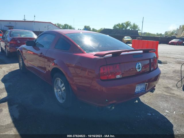 2008 FORD MUSTANG 1ZVHT82H385206534 Photo 2