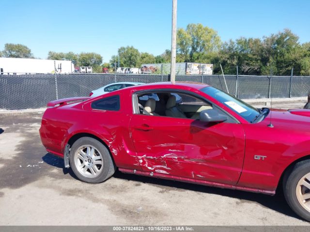 2008 FORD MUSTANG 1ZVHT82H385206534 Photo 5