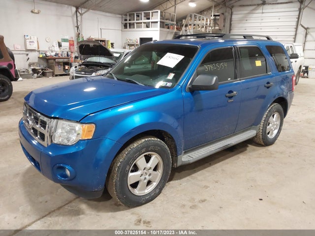 2011 FORD ESCAPE XLT VIN: 1FMCU9DG2BKB71381