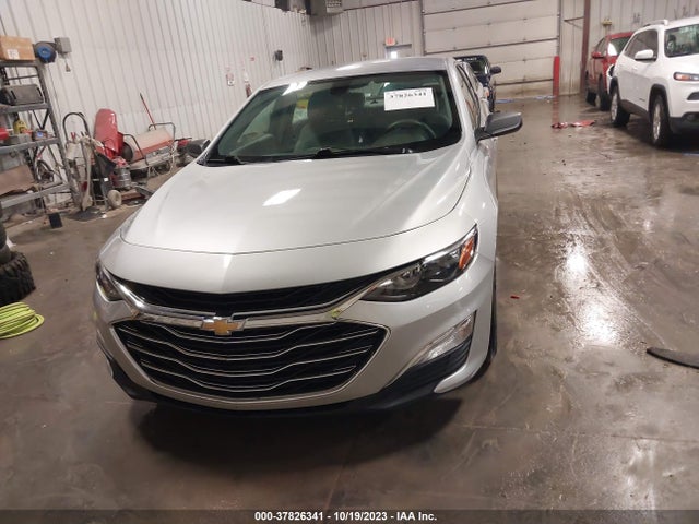 Chevrolet Malibu 1fl 2019 1G1ZC5ST7KF214589 Image 12